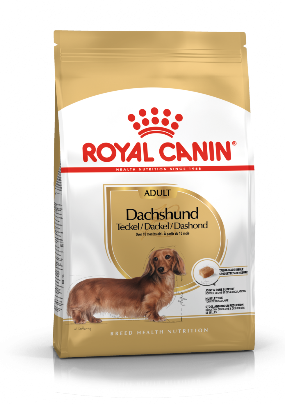 royal-canin-dachshund-