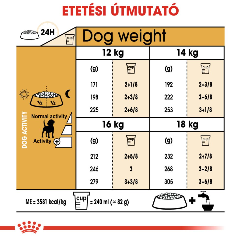 royal-canin-beagle-adult-beagle-