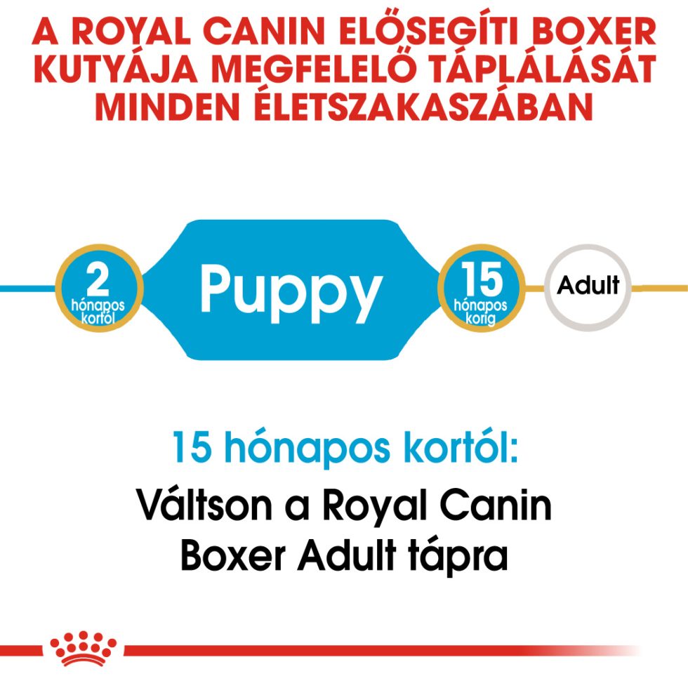 royal-canin-boxer-puppy-