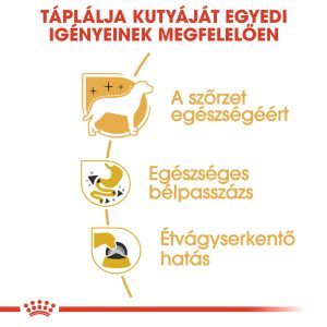 royal-canin-chihuahua-adult-