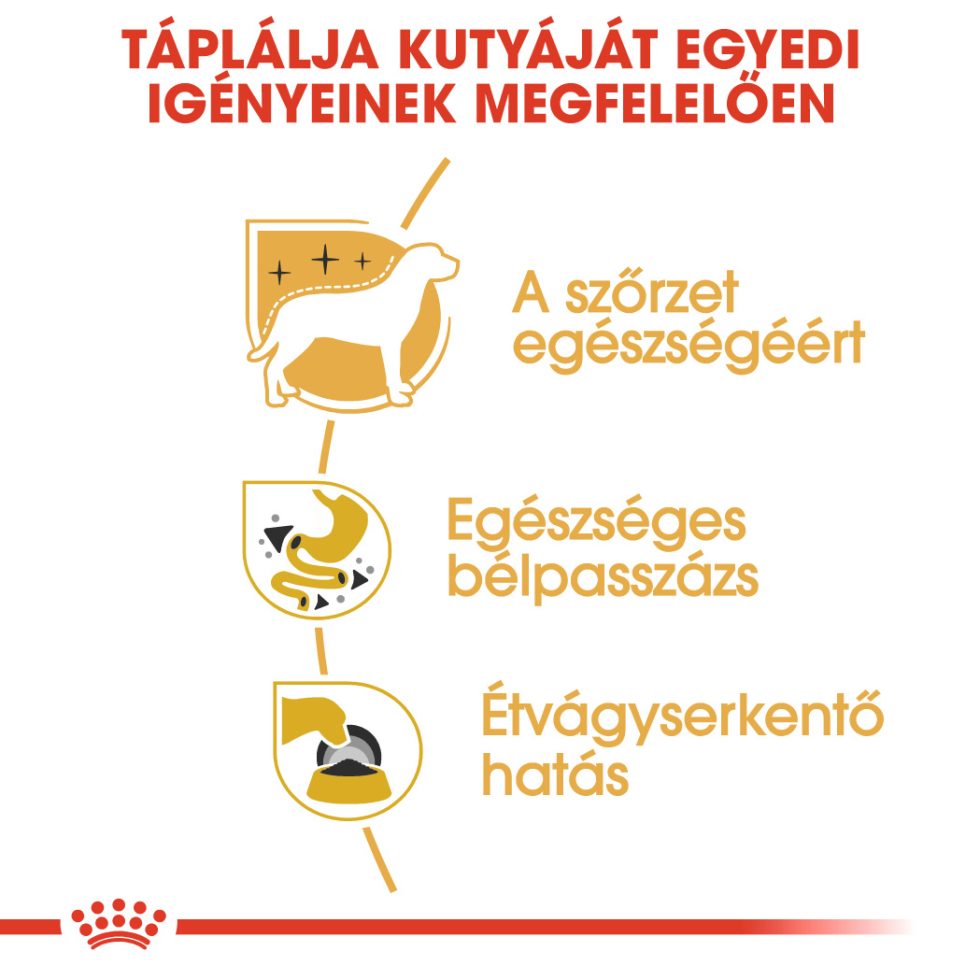 royal-canin-chihuahua-adult-
