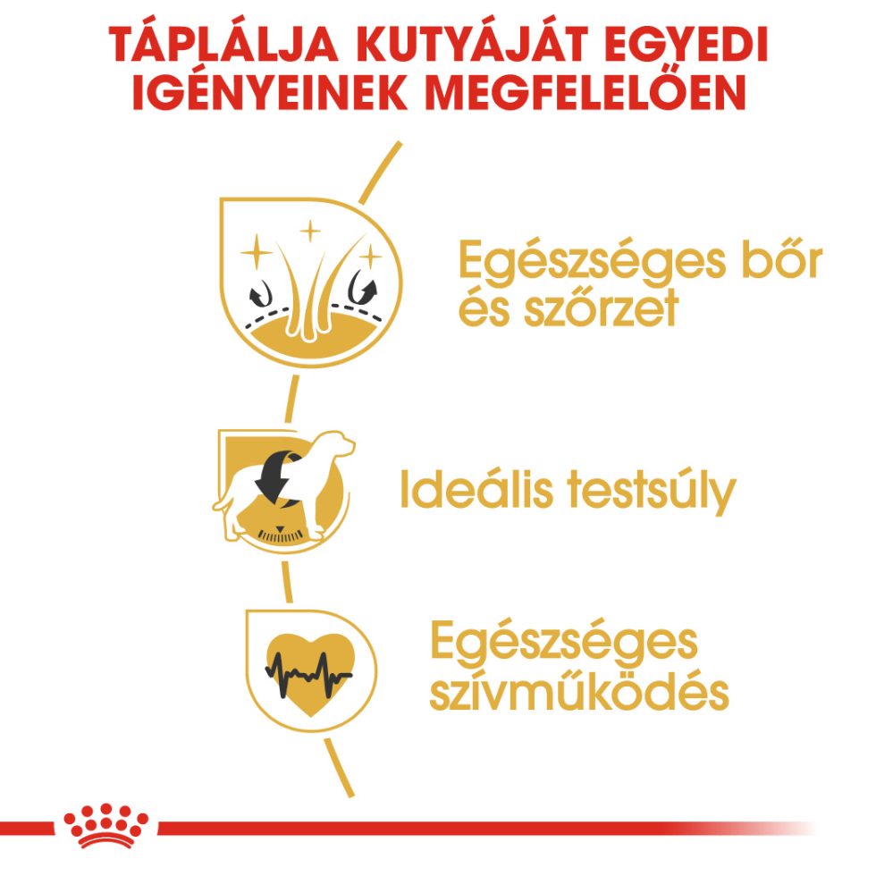 royal-canin-cocker-adult-