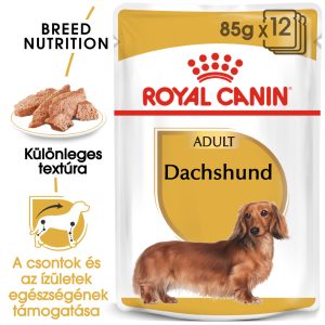 royal-canin-dachshund-adult-