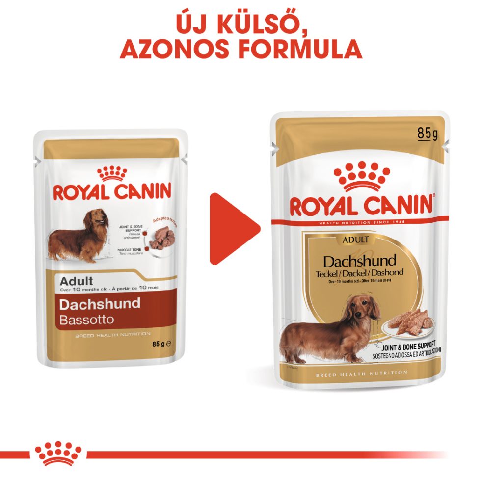 royal-canin-dachshund-adult-