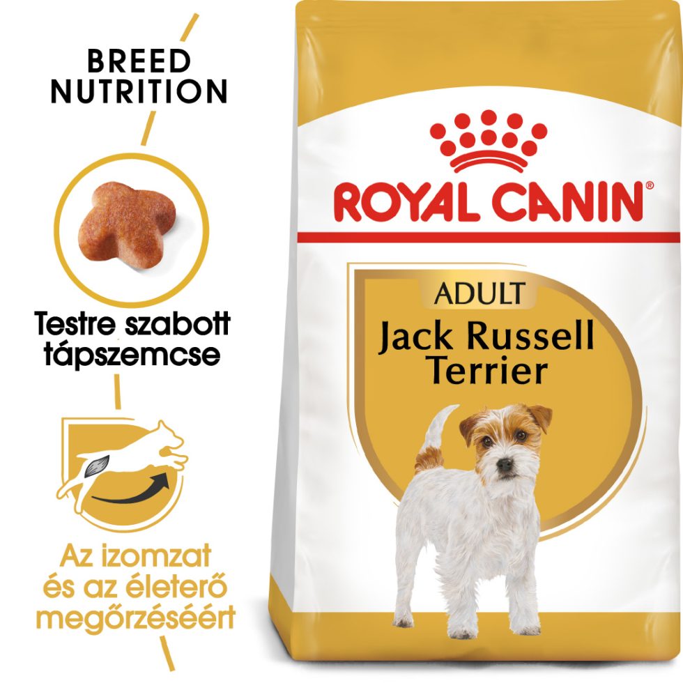 royal-canin-jack-russell-