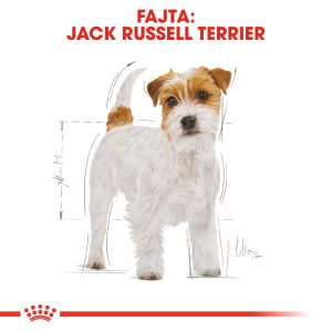 royal-canin-jack-russell-
