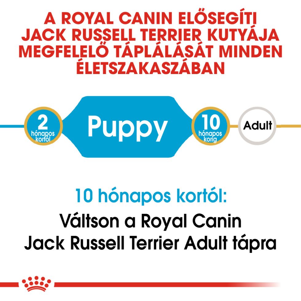 royal-canin-jack-russell-terrier-puppy-