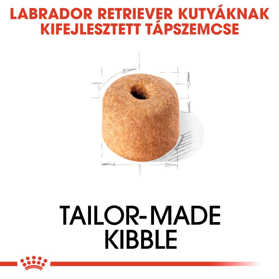 royal-canin-labrador-