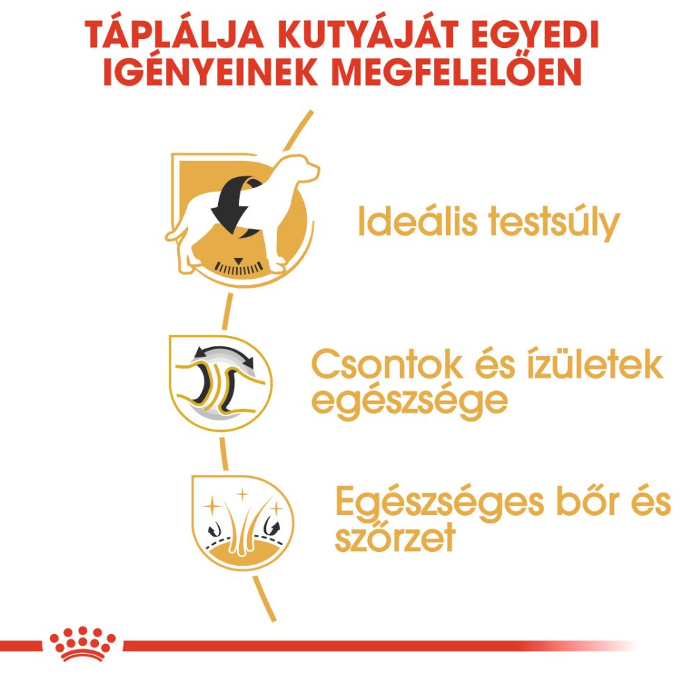 royal-canin-labrador-