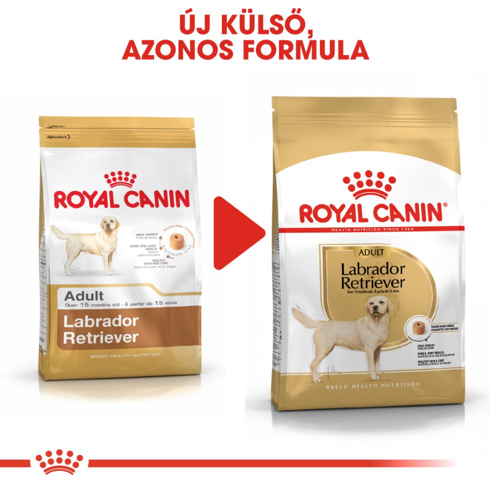 royal-canin-labrador-