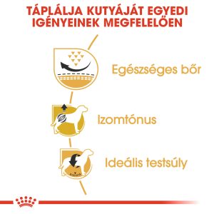 royal-canin-pug-adult-