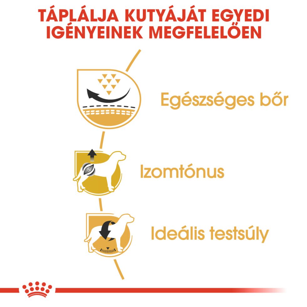 royal-canin-pug-adult-