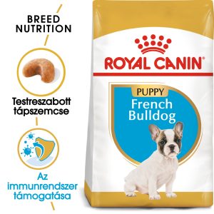 french-bulldog-puppy-