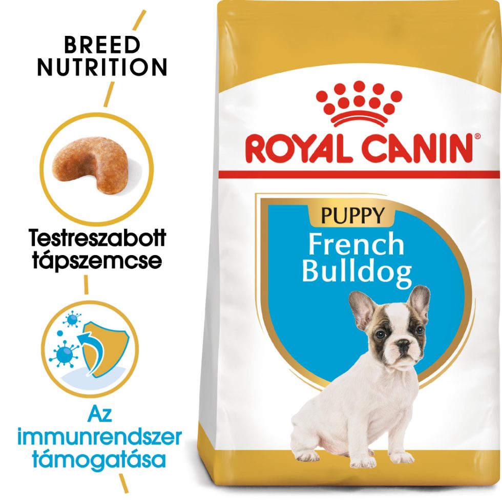 french-bulldog-puppy-