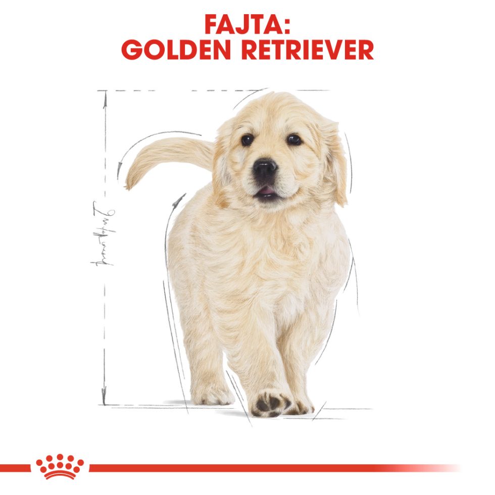 royal-canin-golden-retriever-