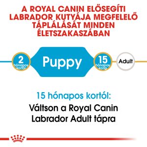 royal-canin-labrador-puppy-