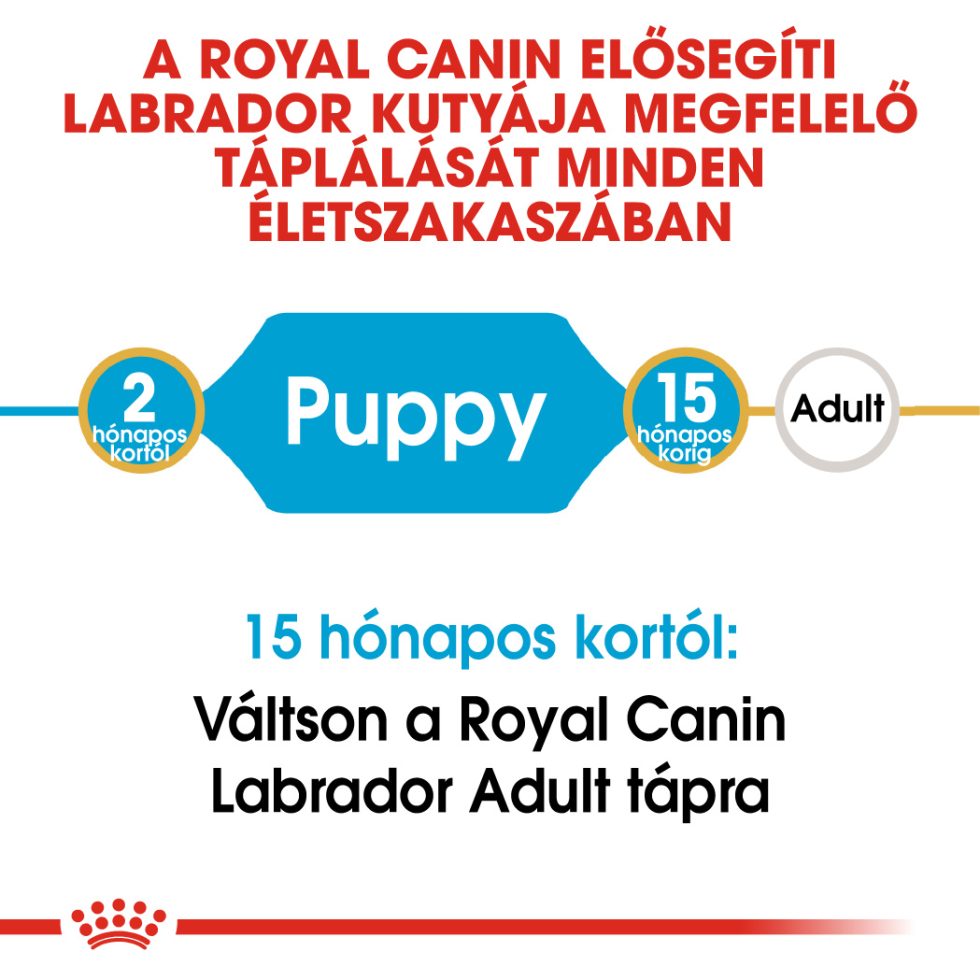 royal-canin-labrador-puppy-