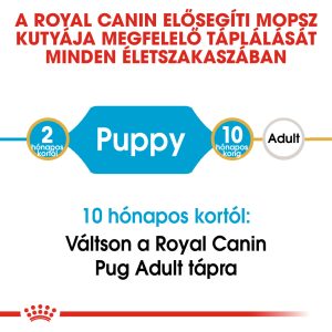 royal-canin-pug-puppy-