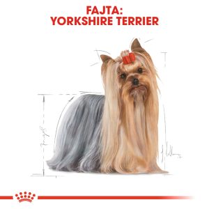 royal-canin-yorkshire-terrier-