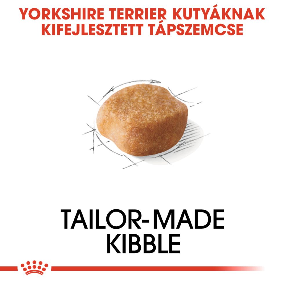 royal-canin-yorkshire-terrier-