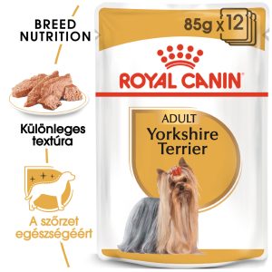 royal-canin-yorkshire-terrier-