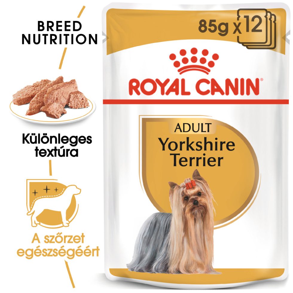 royal-canin-yorkshire-terrier-