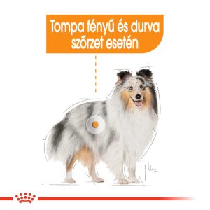 royal-canin-coat-care-