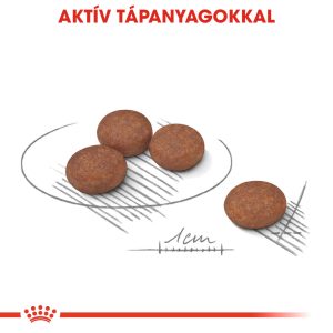 royal-canin-mini-digestive-care-