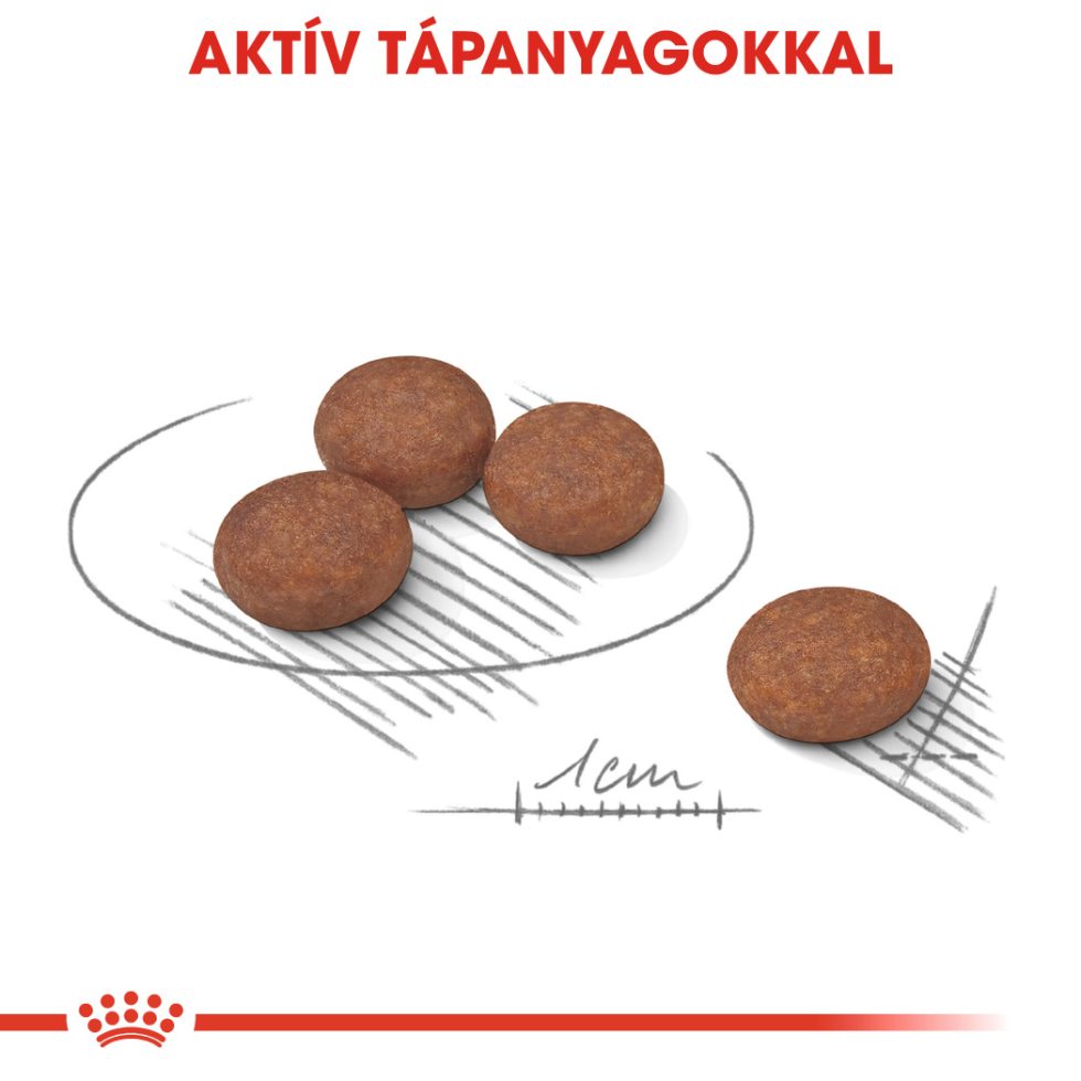 royal-canin-mini-digestive-care-