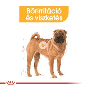 royal-canin-medium-dermacomfort-