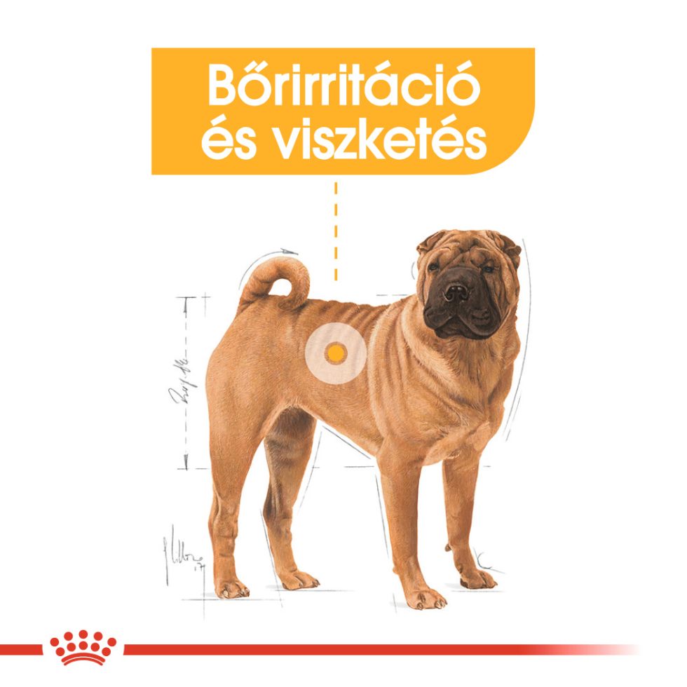 royal-canin-medium-dermacomfort-