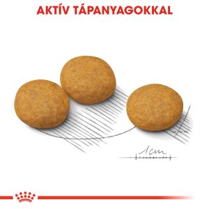 royal-canin-medium-dermacomfort-