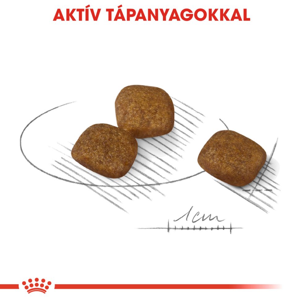 royal-canin-mini-coat-care-