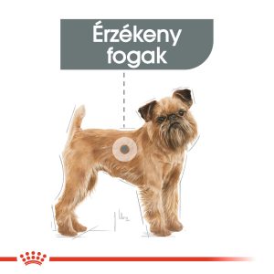royal-canin-mini-dental-