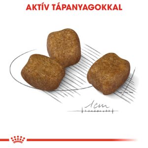 royal-canin-mini-dental-
