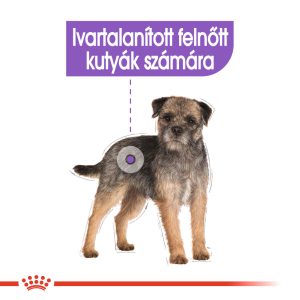 royal-canin-mini-sterilised-