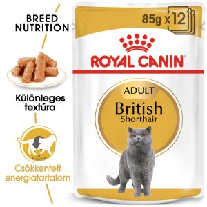 royal-canin-british-shorthair-
