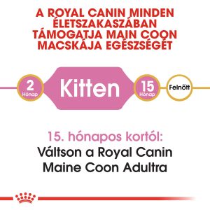 royal-canin-maine-coon-kitten