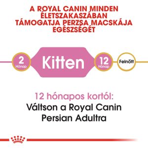 royal-canin-persian-kitten-