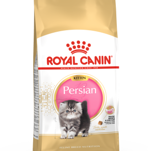 royal-canin-persian-kitten-