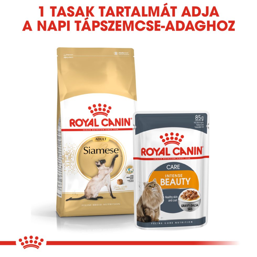 royal-canin-siamese-adult-