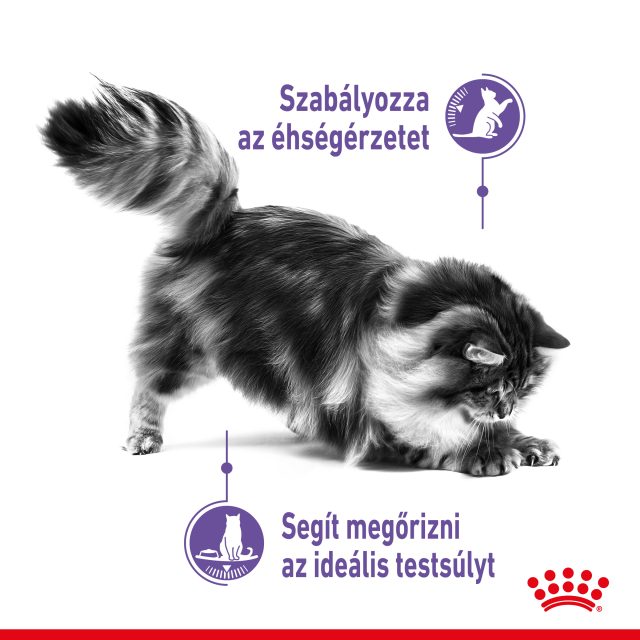 ROYAL CANIN Appetite Control Care