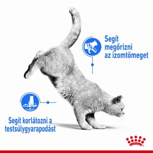 royal-canin-light-weight-care-