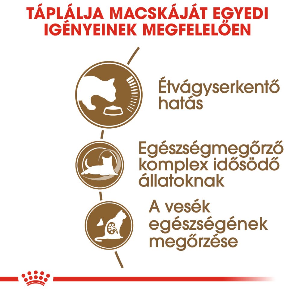 ROYAL CANIN AGEING 12+