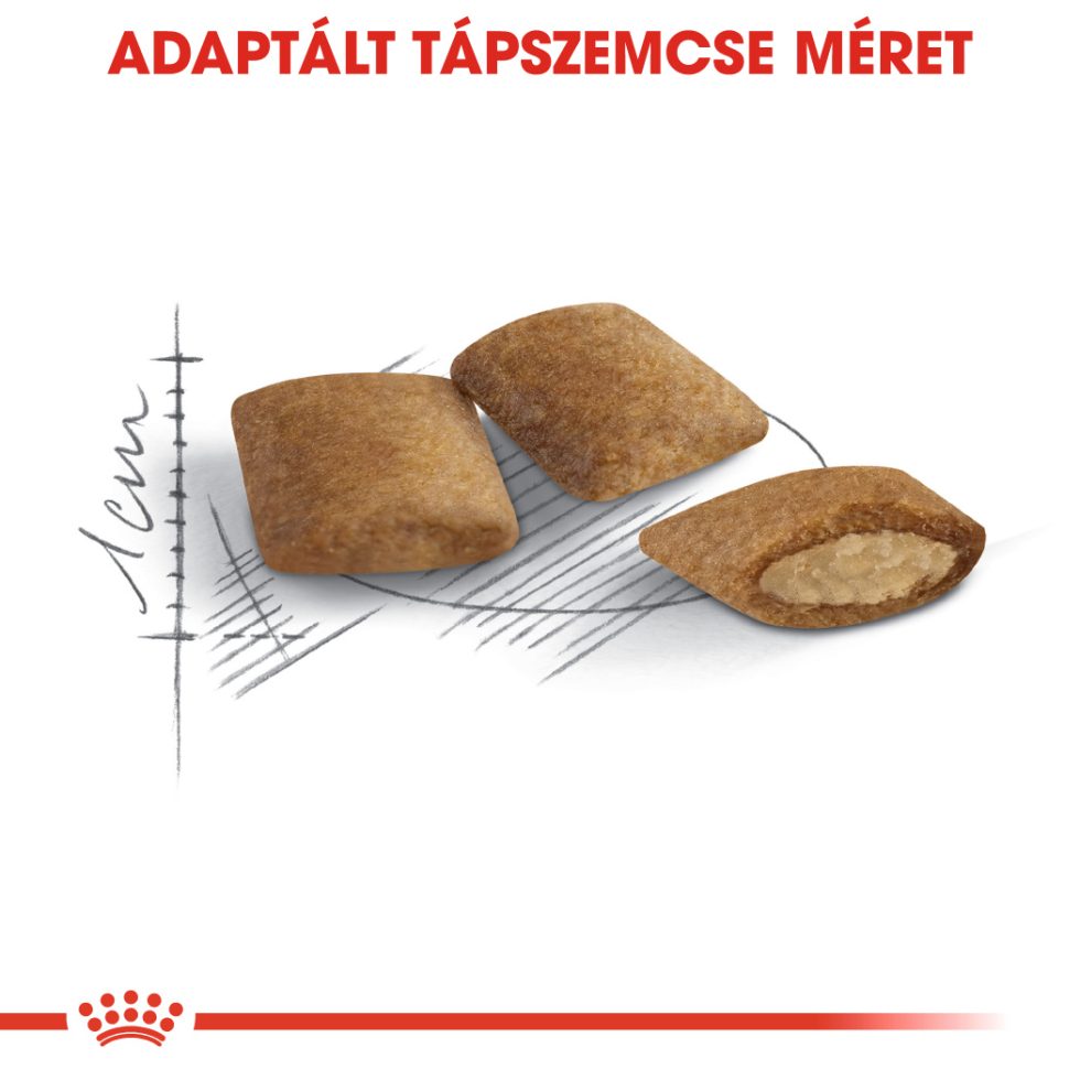 ROYAL CANIN AGEING 12+