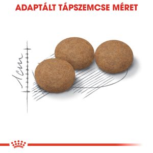 royal-canin-sterilised-ageing-12