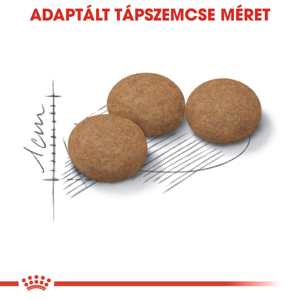 royal-canin-sterilised-ageing-12