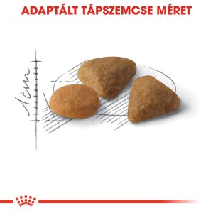 royal-canin-savour-exigent-