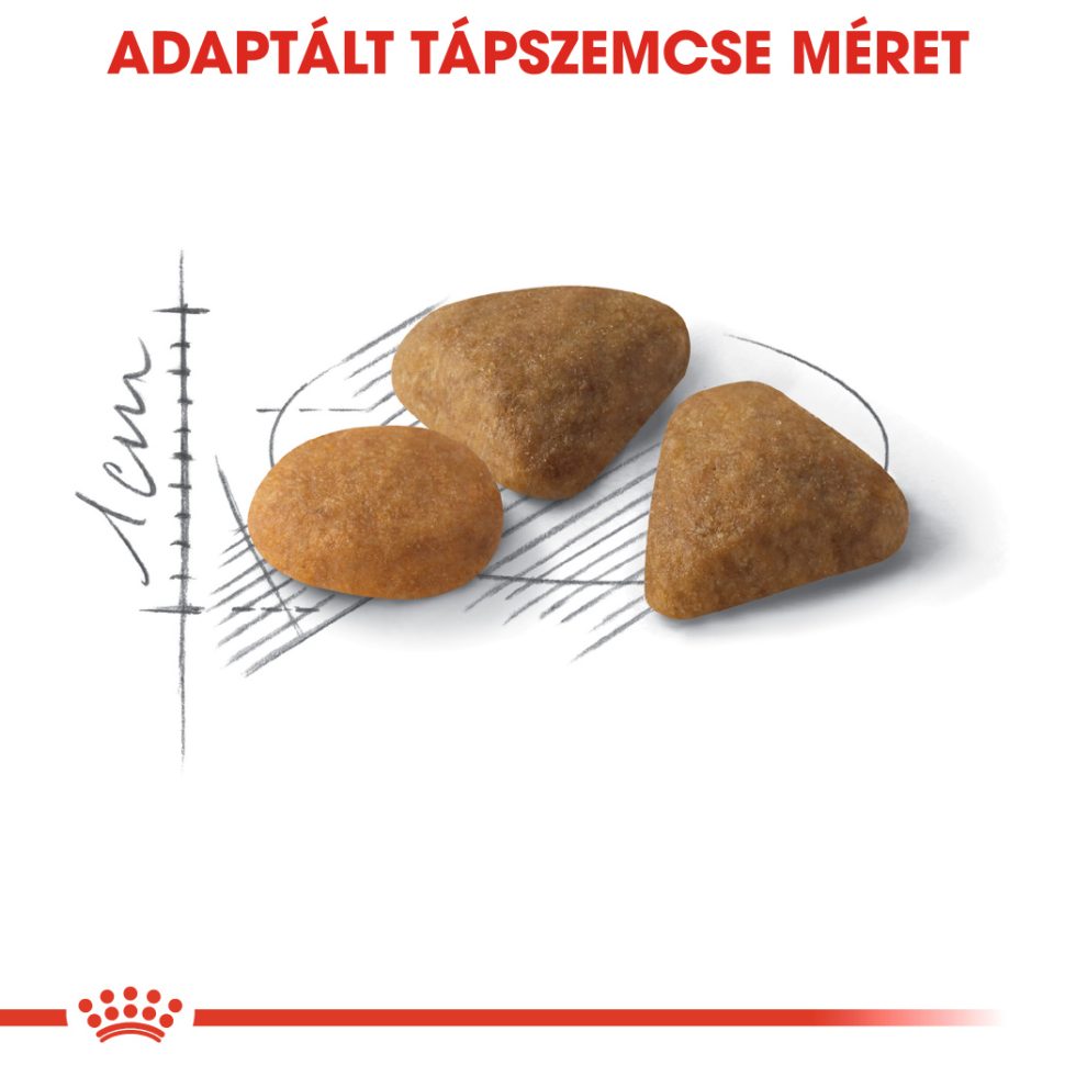 royal-canin-savour-exigent-