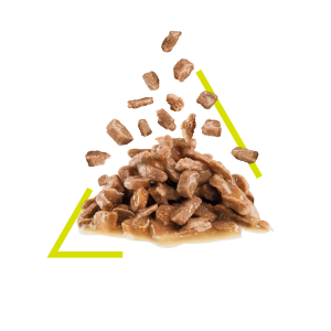 royal-canin-sensory-smell-